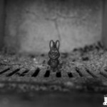 Florian Gerngroß Fotografie in Lost Place