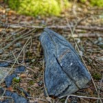 Verlassene Orte - Gerngroß - Florian - Fotografie