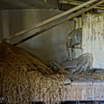 Verlassene Orte - Gerngroß - Florian - Fotografie